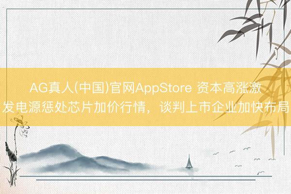 AG真人(中国)官网AppStore 资本高涨激发电源惩处芯片加价行情，谈判上市企业加快布局