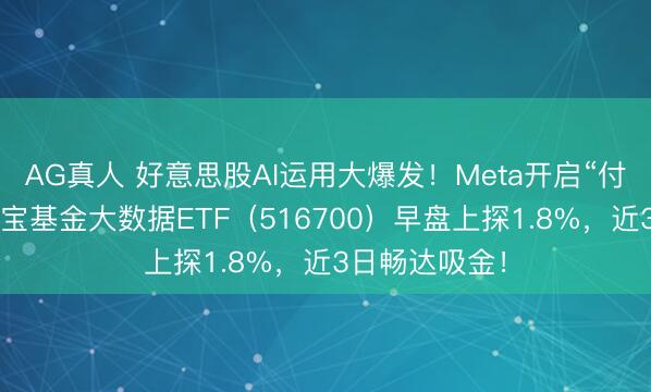AG真人 好意思股AI运用大爆发！Meta开启“付费时期”！华宝基金大数据ETF（516700）早盘上探1.8%，近3日畅达吸金！