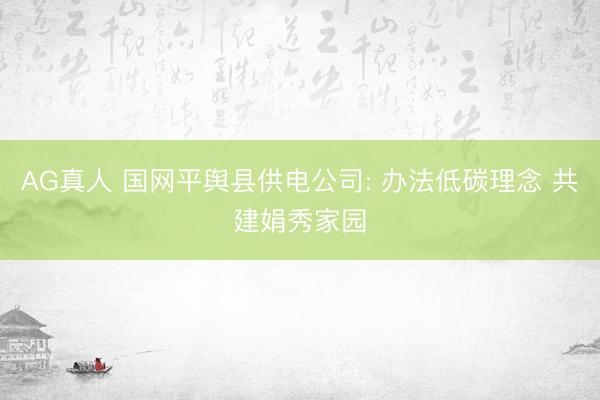 AG真人 国网平舆县供电公司: 办法低碳理念 共建娟秀家园
