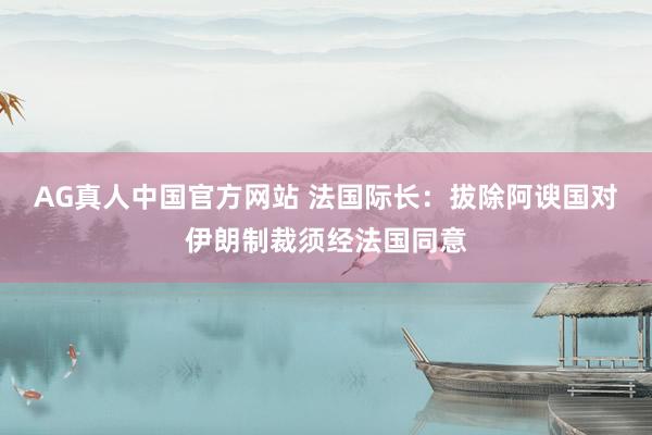 AG真人中国官方网站 法国际长:拔除阿谀国对伊朗制裁须经法国同意